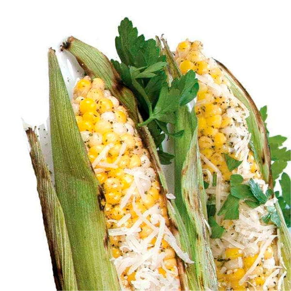 Chipotle Parmesan - Corn On The Cob Seasoning
